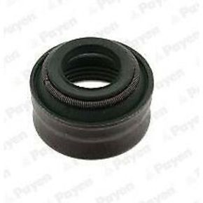 Nunc congue dui nec...