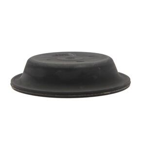 Nunc congue dui nec...